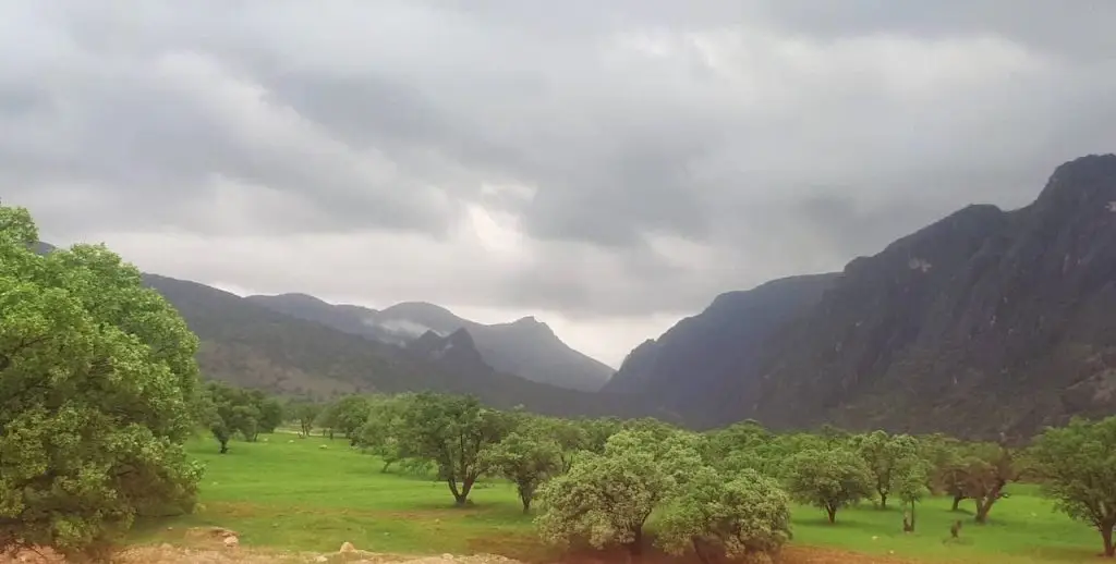 شرکت شاهون شیراز دالون