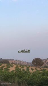 لواشک ترش و طبیعی شاهون تهیهشده از غوره تازه لواشک ترش و طبیعی شاهون تهیهشده از غوره تازه
